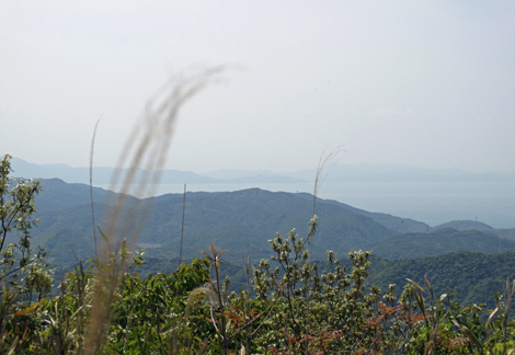 20140426hike (156)